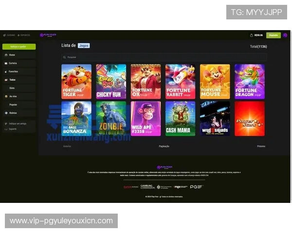 国内领先的PG电子软件开发商宣布推出全新版本，提升用户体验和安全保障