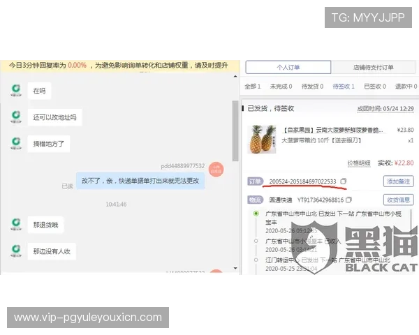 PGSOFT官网真人国际平台全面介绍，专业客服全天候在线保障您的游戏体验